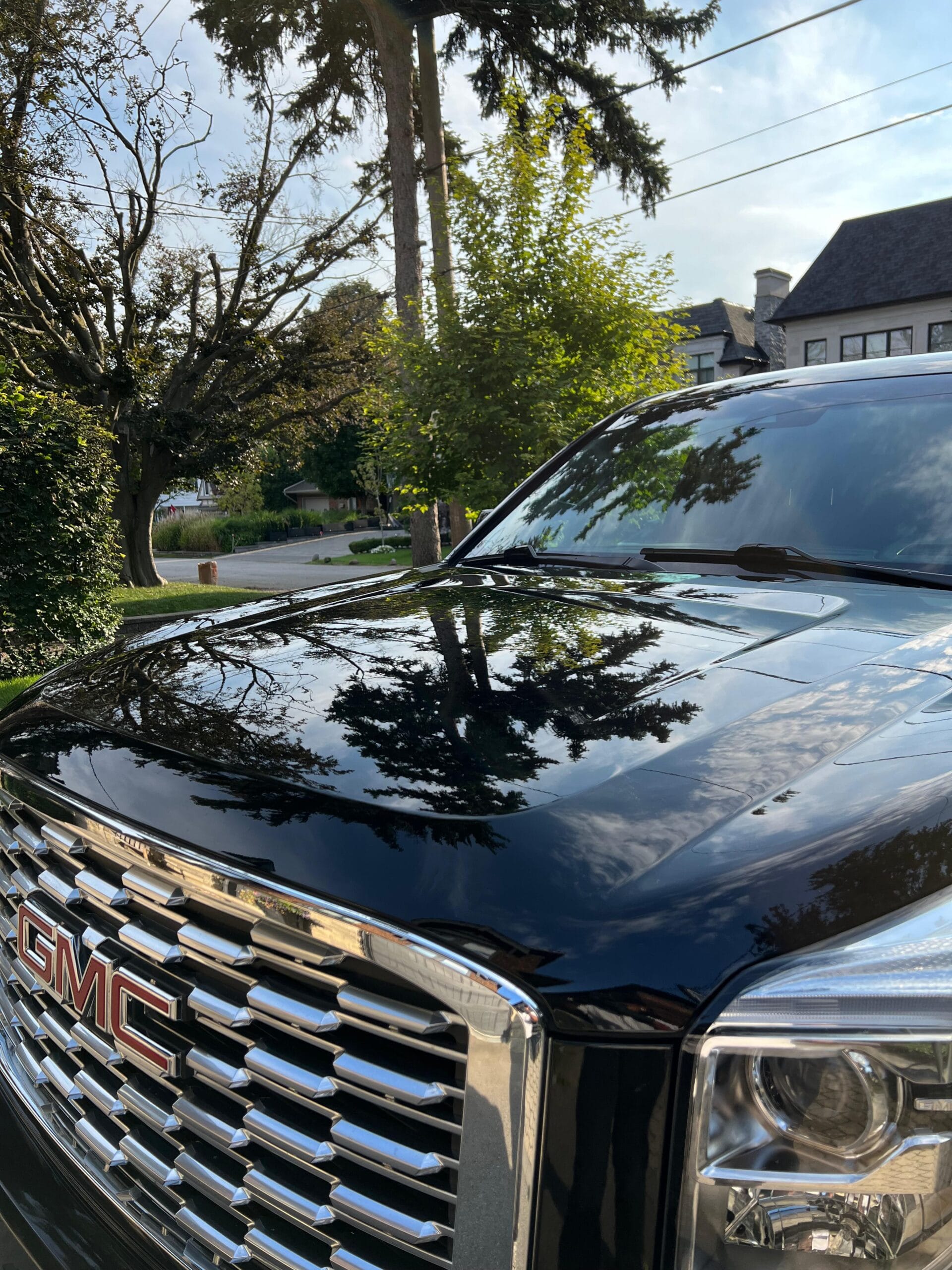 Tree - Sap Paint Correction